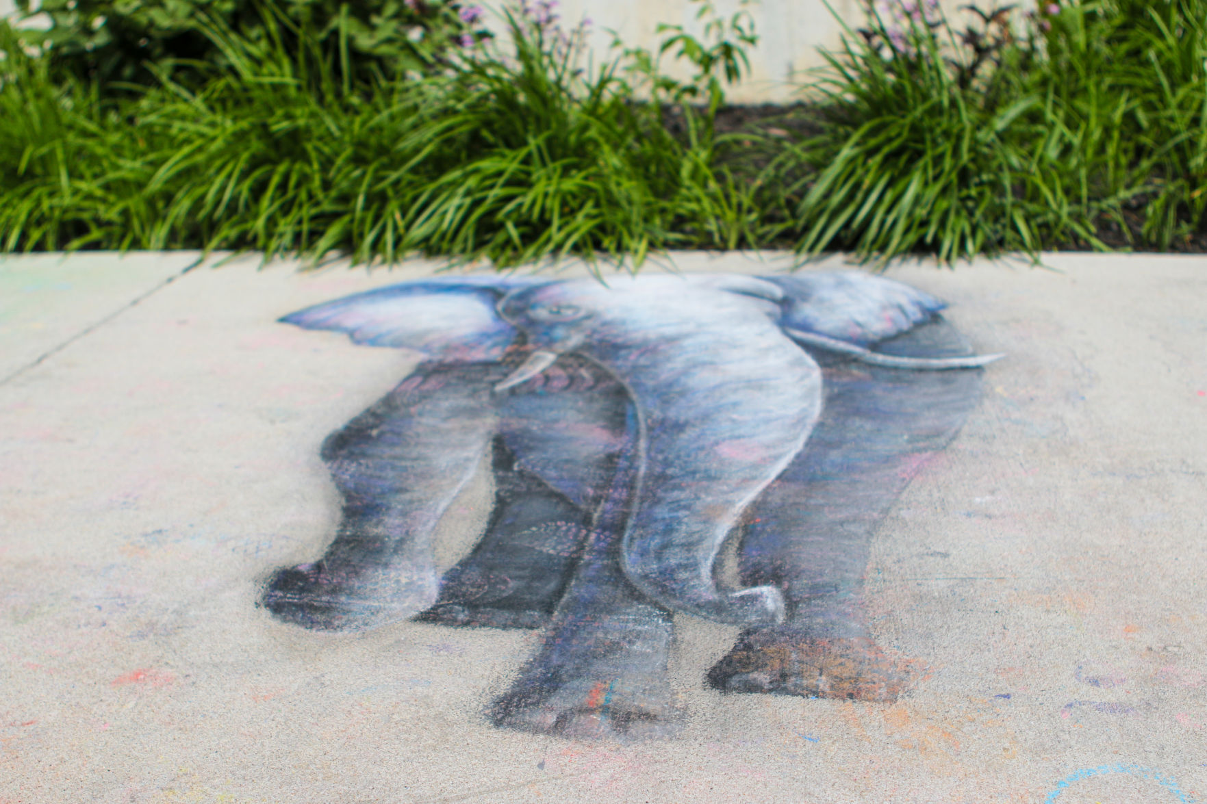 Chalk Art Fest